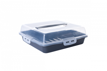 Тортівниця квадратна (граніт), Алеана