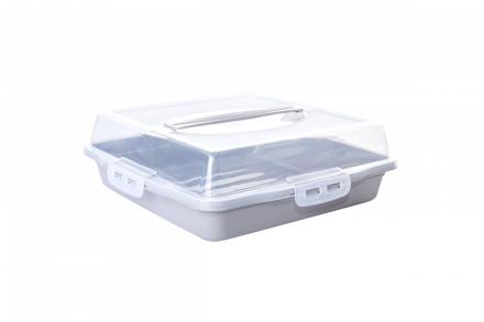 Тортівниця квадратна (какао), Алеана